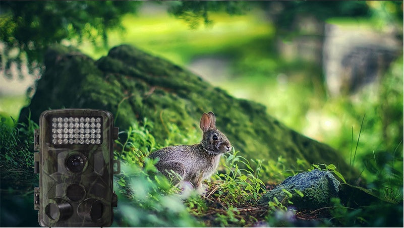 Pet Outdoor Motion Activated Hunting Camera Device