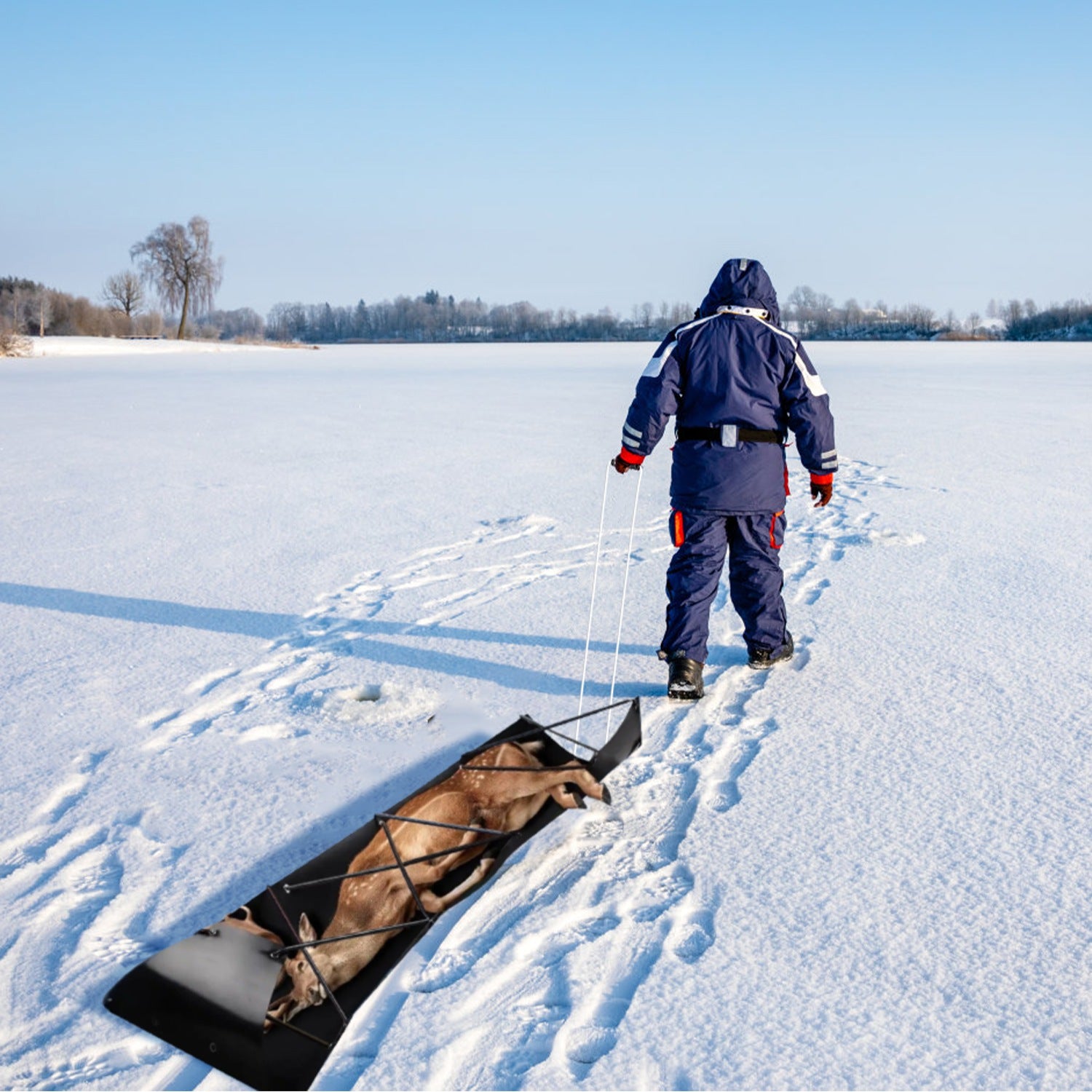 Deer Drag Sled With Ropes - Hauling Gear