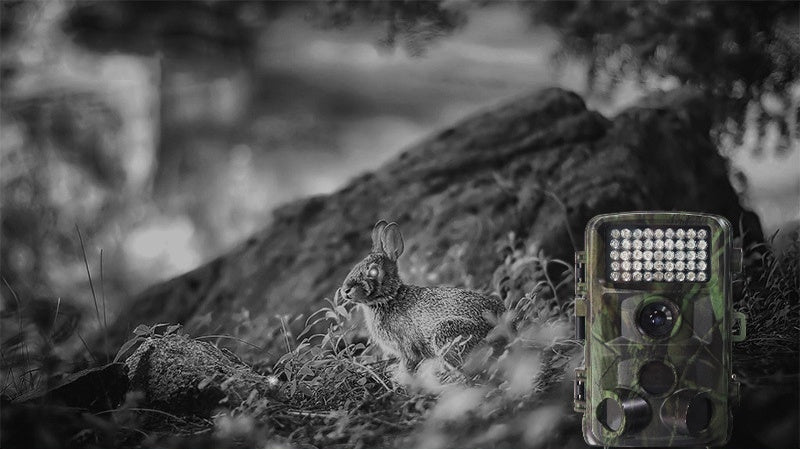 Pet Outdoor Motion Activated Hunting Camera Device