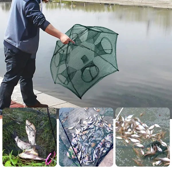 Portable, Folding Fish-Shrimp-Crab Net Trap