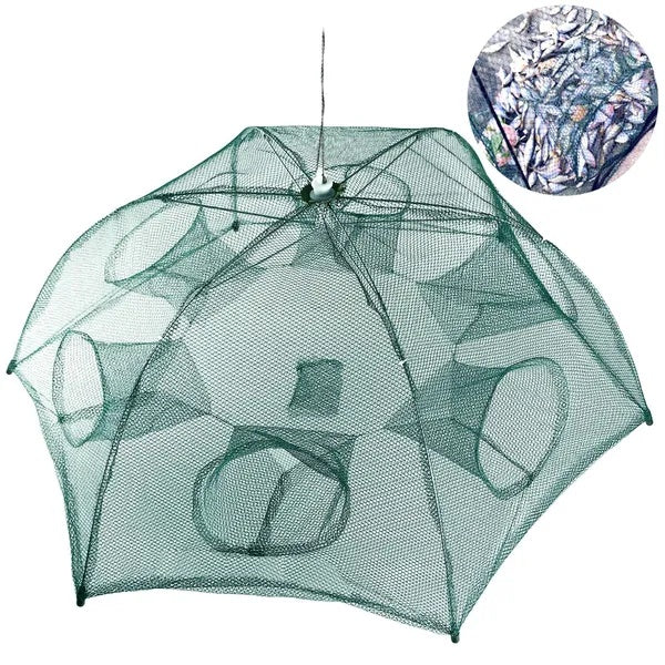 Portable, Folding Fish-Shrimp-Crab Net Trap