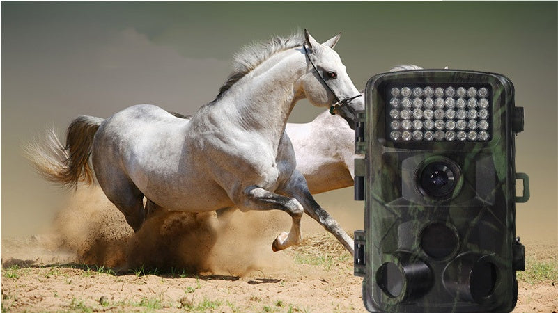 Pet Outdoor Motion Activated Hunting Camera Device