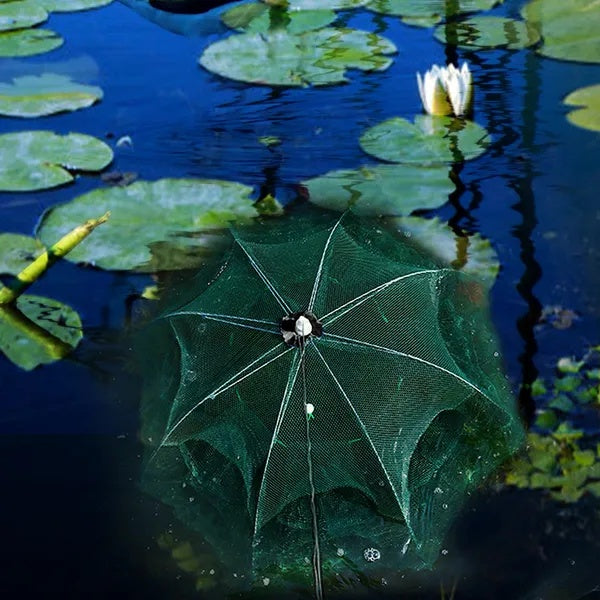 Portable, Folding Fish-Shrimp-Crab Net Trap